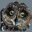Digitally painted owl